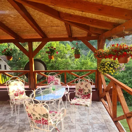 Villa Nina - Gde Dusa Dise Niska Banja