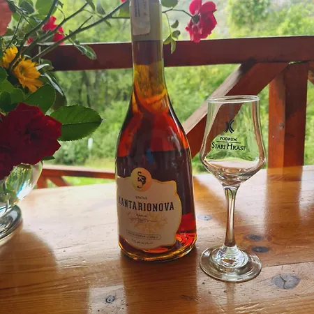 Nina - Gde Dusa Dise *