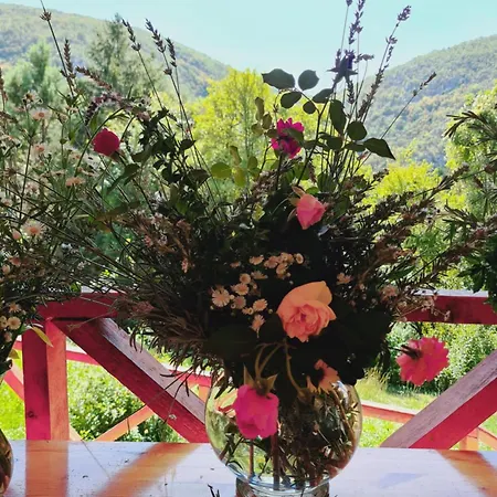 Nina - Gde Dusa Dise *