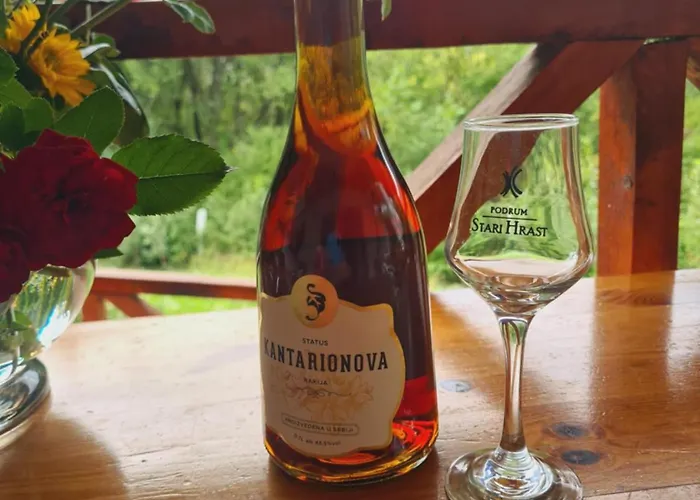 Nina - Gde Dusa Dise *