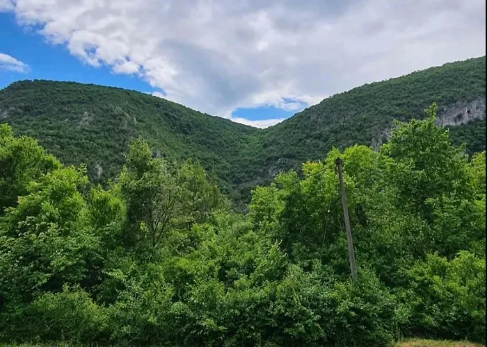 Nina - Gde Dusa Dise Villa Niska Banja