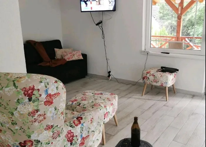 Nina - Gde Dusa Dise * Niska Banja