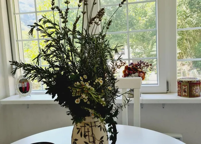 Nina - Gde Dusa Dise * Niska Banja