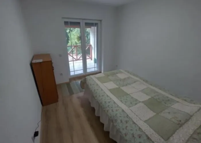 Nina - Gde Dusa Dise *