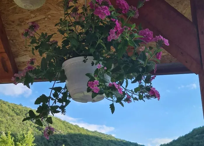 Nina - Gde Dusa Dise Villa *