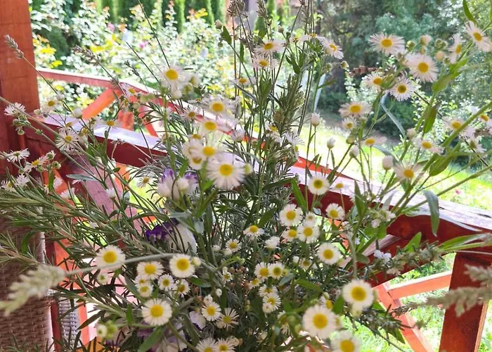 Villa Nina - Gde Dusa Dise *