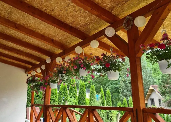 Villa Nina - Gde Dusa Dise Niska Banja