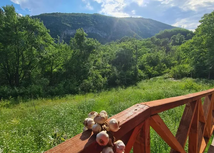 Nina - Gde Dusa Dise