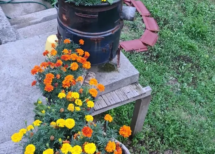 Nina - Gde Dusa Dise Niska Banja