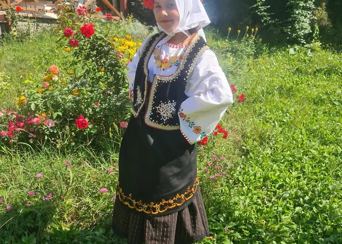 Nina - Gde Dusa Dise * Niska Banja