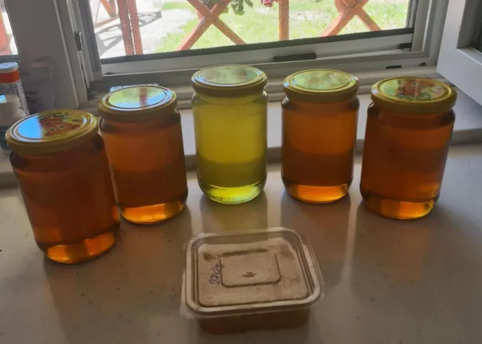 Nina - Gde Dusa Dise Villa